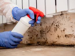 Best Indoor Air Quality Assessment  in Cleveland, GA